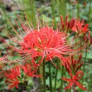 교대역  13번출구 뒤 2 이미지