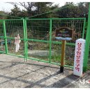 강정동-64 이미지