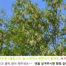 두리댄스스포츠 이미지