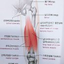 에이블짐 압구정로데오점 이미지