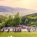 250033 | [숙소 추천] 애견 동반 가능한 충주 켄싱턴 리조트 (프로모션코드 KEN250033)