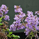 구일소공원 이미지