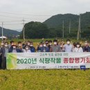 고흥-10호 이미지