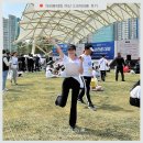 315 봄 | 경남 마산 315마라톤 후기 5km 마라톤대회 일정 메달 음식 경품