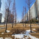 눈섬베이커리 이미지