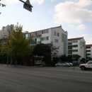 사파동128 이미지