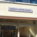 매머드커피강남 - 강남구 선릉로129길 11 | 매머드커피강남