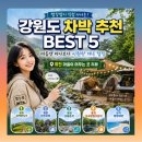 삼척계곡하우스 | 강원도 스텔스 차박 추천 BEST 5 , 여름엔 바다보다 시원한 계곡 캠핑 화천 마음이 머무는 곳 후기