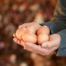 행복한신선농장 이미지