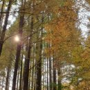 한국폴리텍 III 대학 춘천캠퍼스 이미지