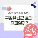 이오피쉬 | 구강유산균 효과, 진짜일까? 입냄새 개선부터 잇몸 건강까지