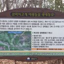 누비길2구간 이미지