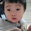 봄봄바스