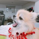 미르텔레콤 네이버블로그