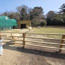 입지목장 | 제주 도치돌 알파카 목장 방문 후기 아기 알파카를 만날 수 있는 목장 이색 체험