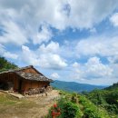 (주)서대 이미지
