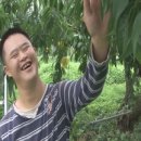 진배농장 이미지