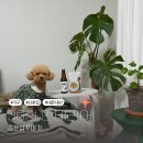 CU 우산행복주택점 | 행복주택 기록(4) - 36형 좁은집에서 살아남는법 신혼집 인테리어 가구 추천