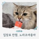 노라조 야옹아 | 만원으로 무한이용! 인천고양이카페 노라조야옹아