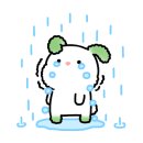 플레르주주