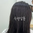 수향미용실 이미지