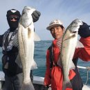 복사초등학교 이미지