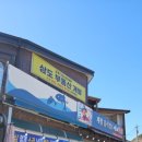 공주-54 | 통영 사량도 여행 가볼만하곳 계절음식점 매운탕 맛집 날라리공주가 다녀온 후기입니다^^