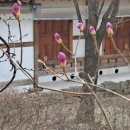 능안1리 이미지