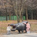 광주광역시 우치동물원 동물병원 | 광주우치공원 하루코스 추천 2탄｜겨울 동물원 관람시간 팁·입장요금·있는 동물 총정리 (미취학아동...