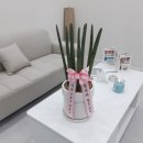 중앙동209 이미지