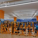 덕진종로약국 | 여의동헬스장 전주헬스 PT 피티 365헬스 가격 위치 소개