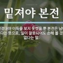 솔잎한의원 이미지