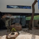 투썸플레이스 대전가수원대로DT점 이미지