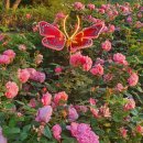 오십천둔치 이미지