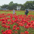 공항농장 이미지