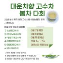 차봄 이미지