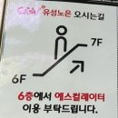 노은로(유성-22) | 코렐라인:비밀의 문🚪 리마스터링 감상 후기(CGV 유성노은점 위치, 주차장)