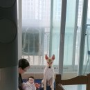 박금옥 | 강아지 무섭지만ㅎ 의연한 박금옥 관리사님 후기왔어요~