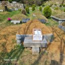 양택공설묘지 이미지