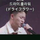 SHU - 드라이 플라워(ドライフラワー)｜2025한일가왕전 5회. #shu #슈 #한일가왕전 이미지