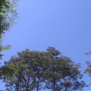 아우름체육센터 이미지