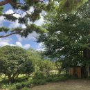 악양농협주유소 이미지