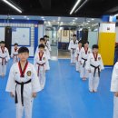 명품태권도장 이미지