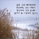 몽니/슬픈베아트리체 이미지