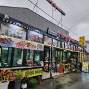 속초 여행 아바이순대 마을에 함경도 임가네 후기