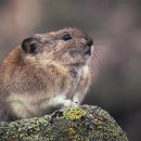 수완종합 동물병원 이미지