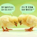토비아