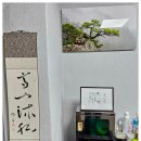 태후사랑미용실 이미지