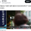 새마을금고 직원이 엄마 돈 출금했다는 여시회원 이미지