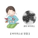 바이러스성 장염 (Viral enteritis(Rota)) 이미지